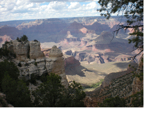 Grand Canyon View